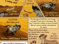 tlk__hs__page_136_by_kati_kopa-d342v7v.jpg